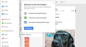 Another Google+ Redesign