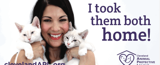 Cleveland APL Animal Protective League