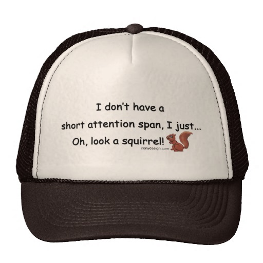 short_attention_span_squirrel_mesh_hat-rac0f43f1b33a451f94e78a7f92a1568e_v9wq5_8byvr_512